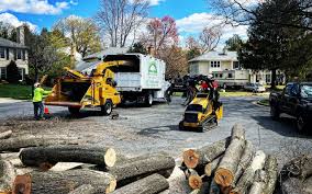 Professional Tree Removal Services in Creola, AL